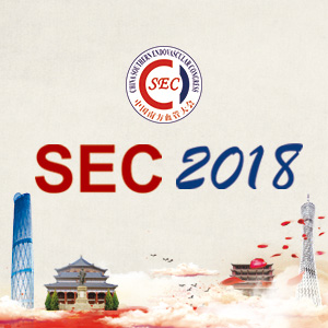 SEC2018第十二届中南南方血管大会通知（第一轮）